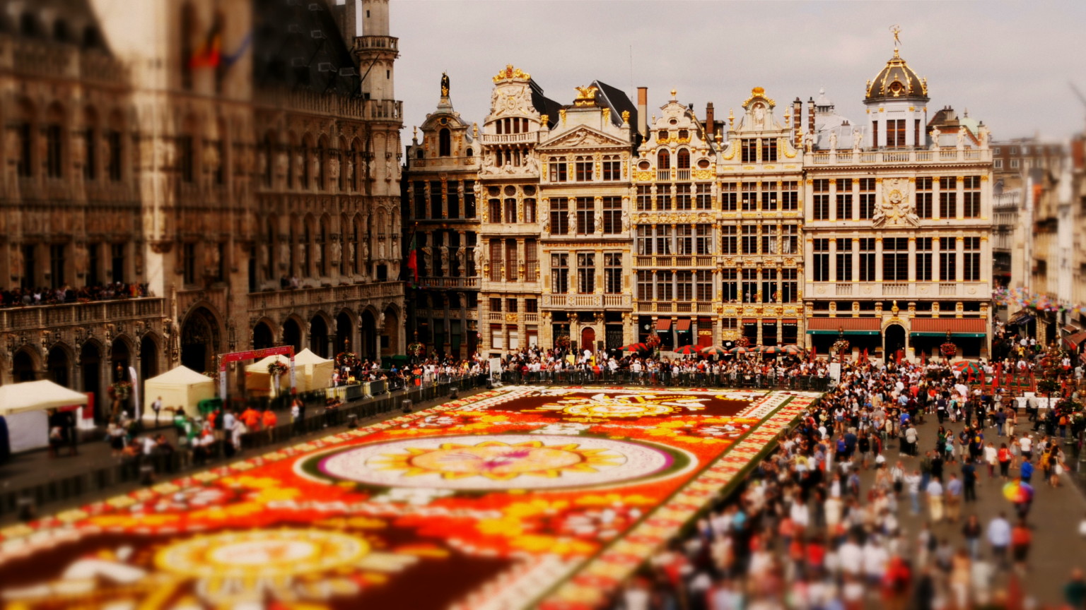 Mini Timelapse Captures The Making Of The Famous 'Flower Carpet' In ...