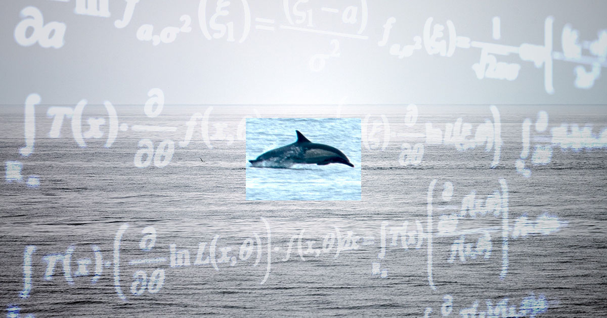 calculatingdistancefeattt