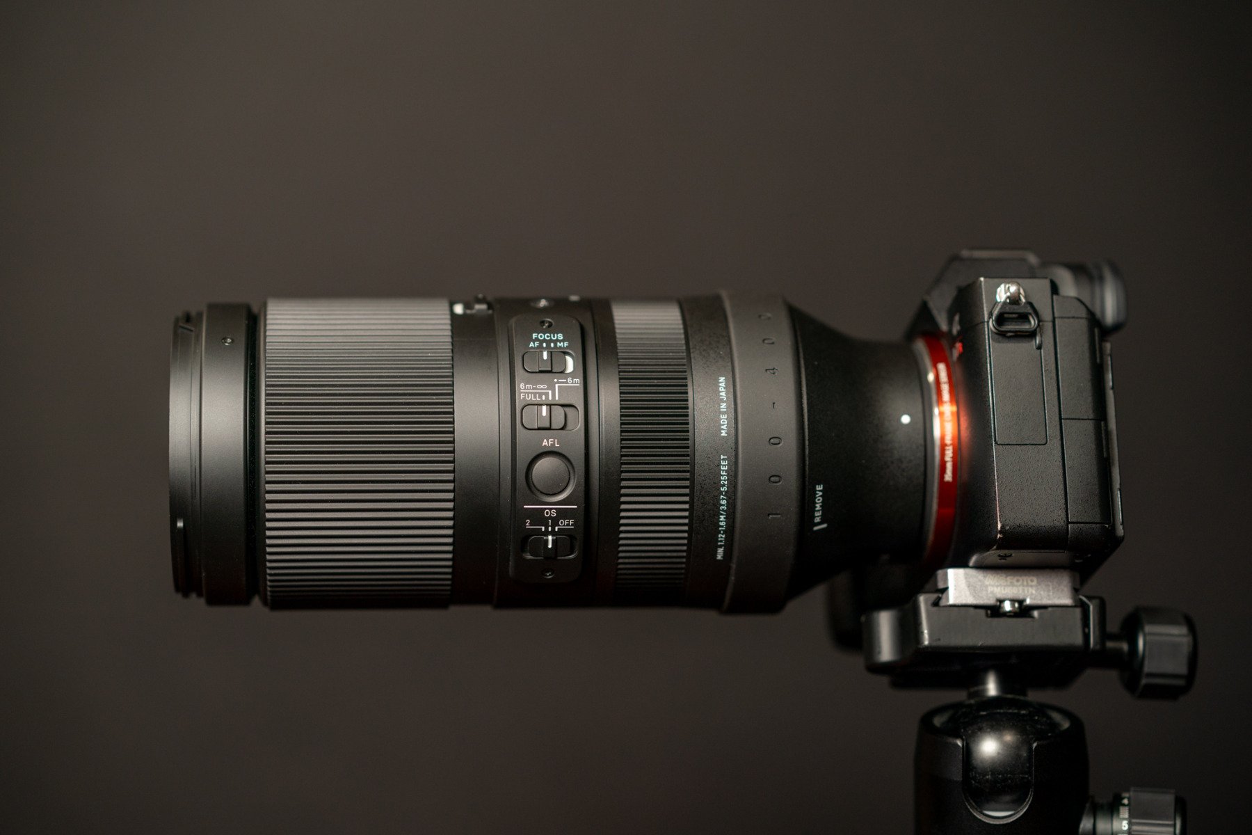 Hands On with the Sigma 100-400mm DG DN: A Budget Superzoom For