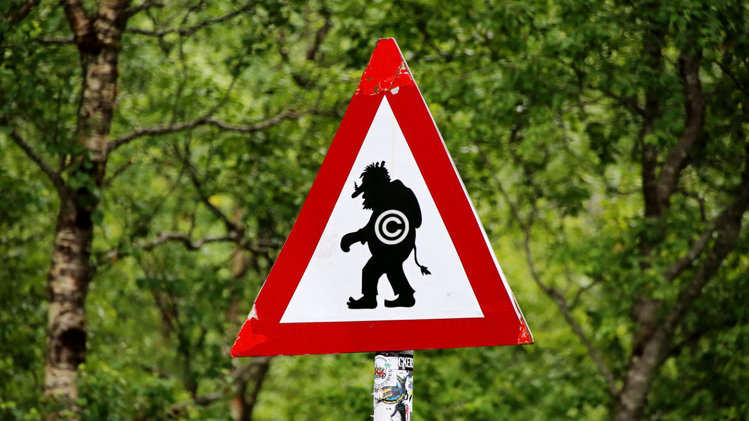 Notorious Lawyer and 'Copyright Troll' Fined $103K, Photographers