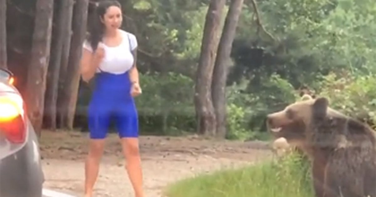 This Woman Tried to Take a Picture with a Wild Bear