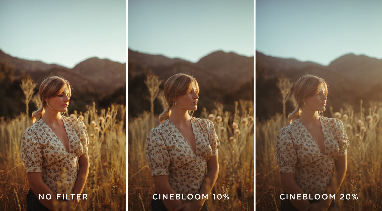 Moment Unveils CineBloom Diffusion Filters for 'Dreamy, Film-Like Vibe...