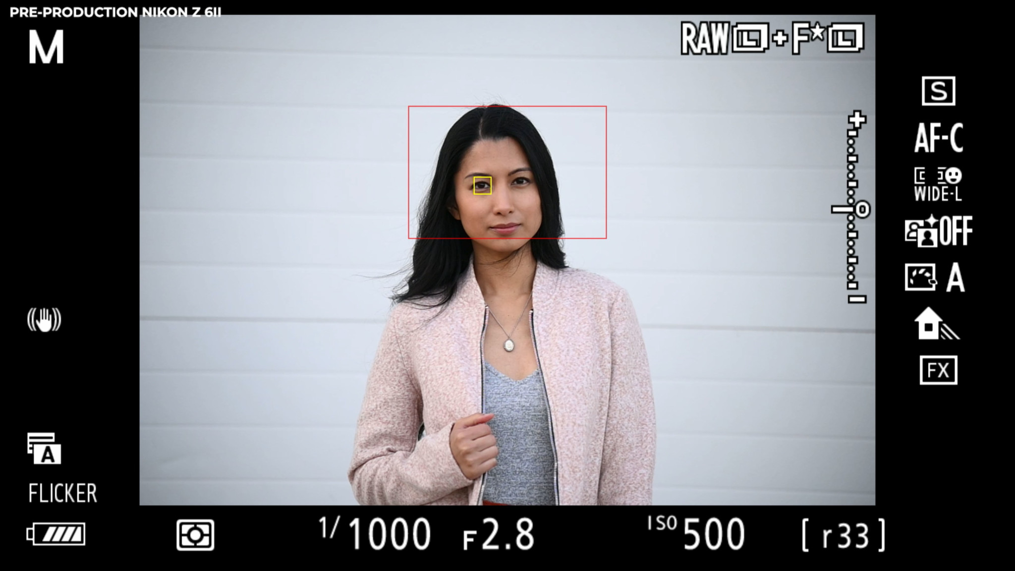 Nikon Z6 II Autofocus Test: A Solid Improvement Over the Z6 | PetaPixel