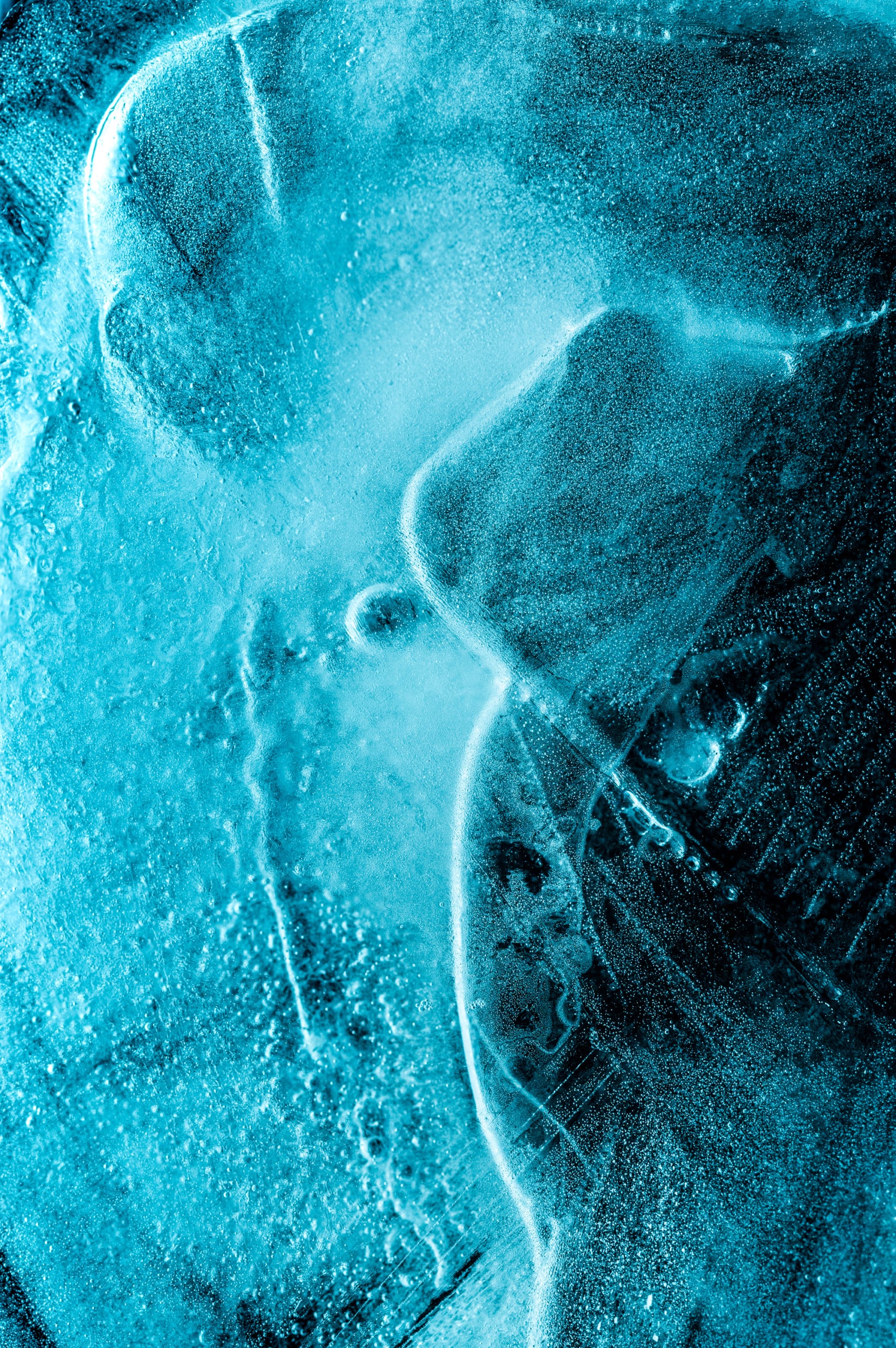 10 Easy Macro Photography Ideas You Can Try at Home | PetaPixel