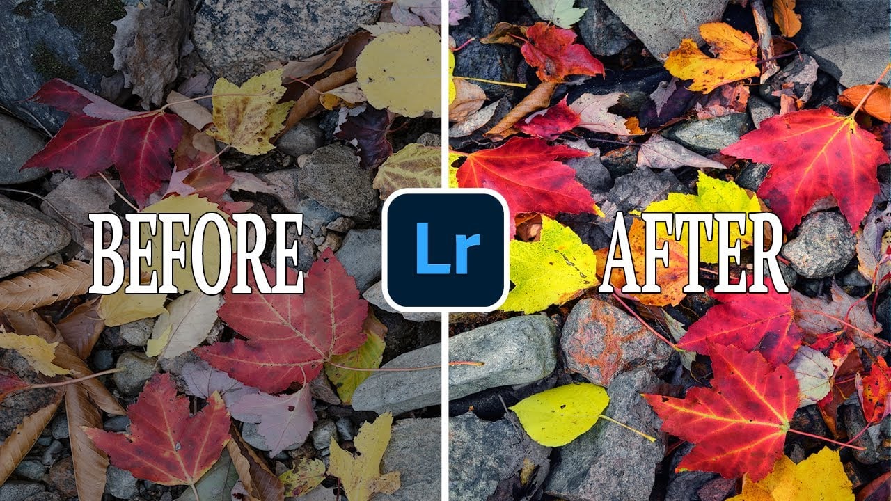 How To Best Use the Powerful New Color Grading Tool in Lightroom