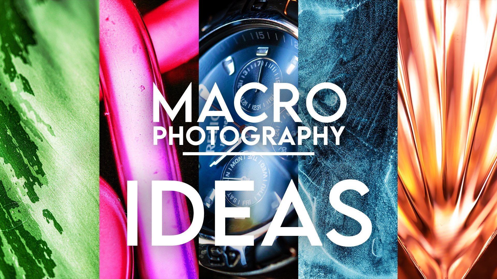 10 Easy Macro Photography Ideas You Can Try at Home