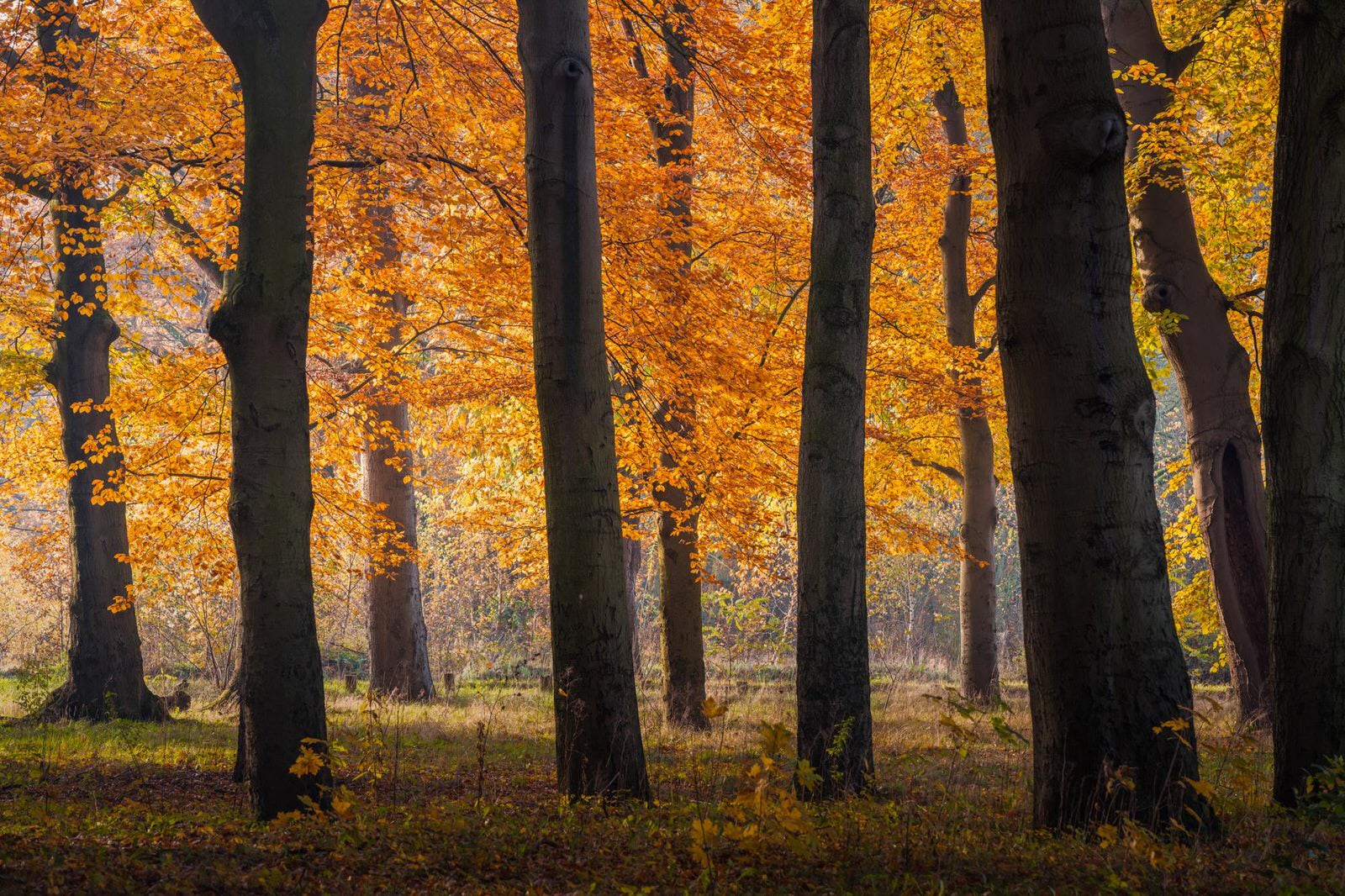 12 Tips For Autumn Photography PetaPixel