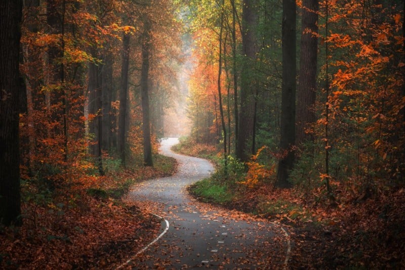 12 Tips For Autumn Photography Petapixel