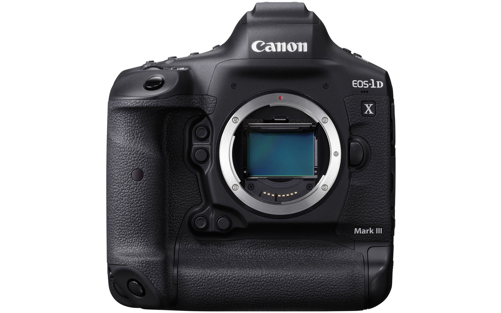 Canon R6 Firmware 1 5 Problems