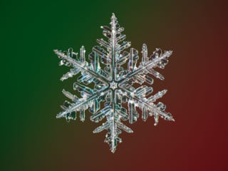These Are the Highest Resolution Photos of Snowflakes Ever Captured ...