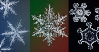 These Are the Highest Resolution Photos of Snowflakes Ever Captured ...