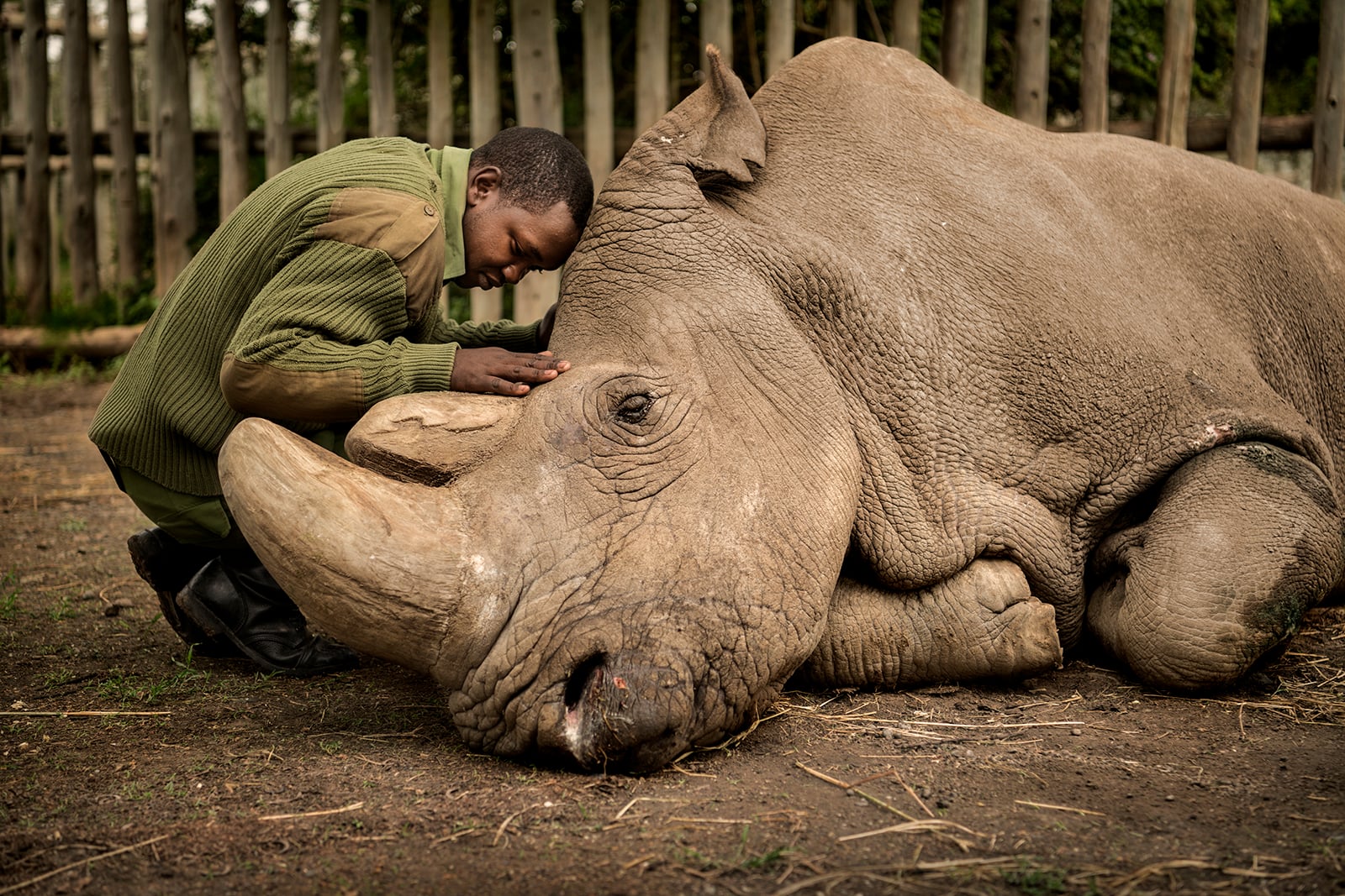 25 People's Choice Finalists from the 2020 Wildlife Photographer of the ...