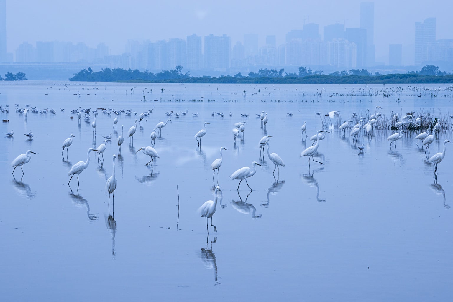 25 People's Choice Finalists from the 2020 Wildlife Photographer of the ...