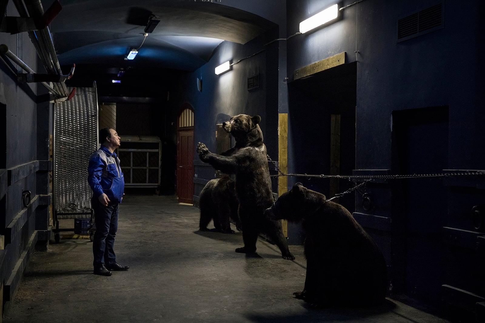 25 People's Choice Finalists from the 2020 Wildlife Photographer of the ...