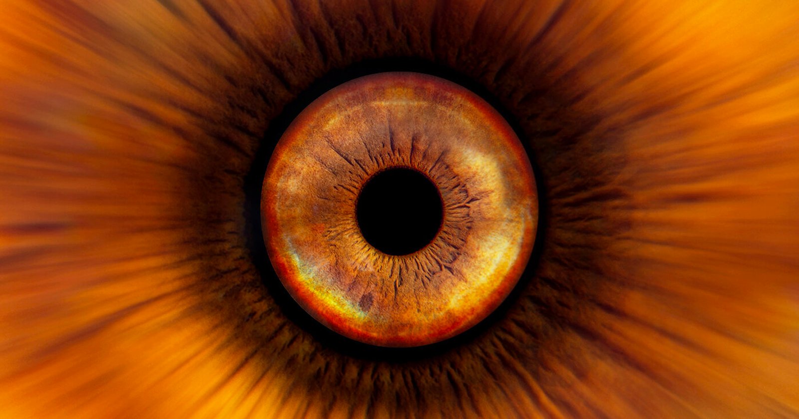iris eye photography