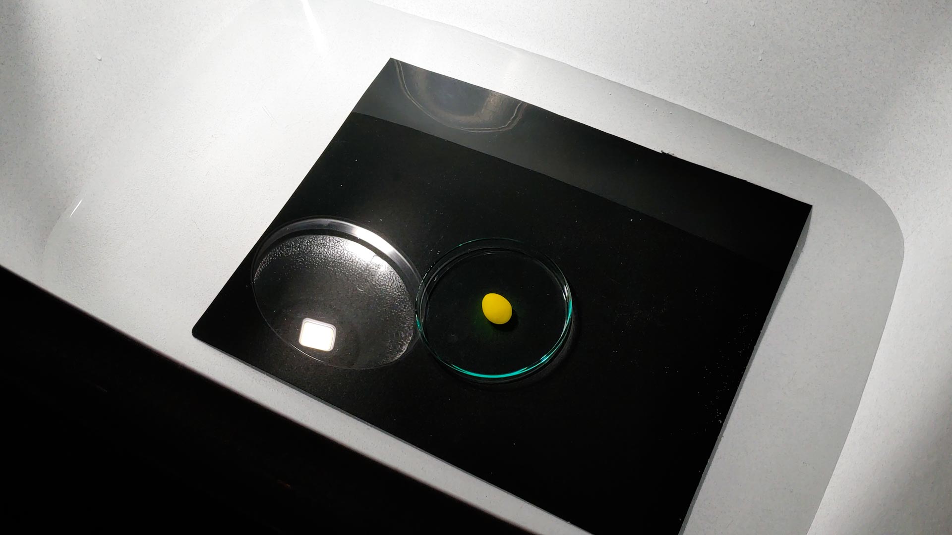 Watching M&Ms Dissolve in Water is Both Beautiful and Unsettling