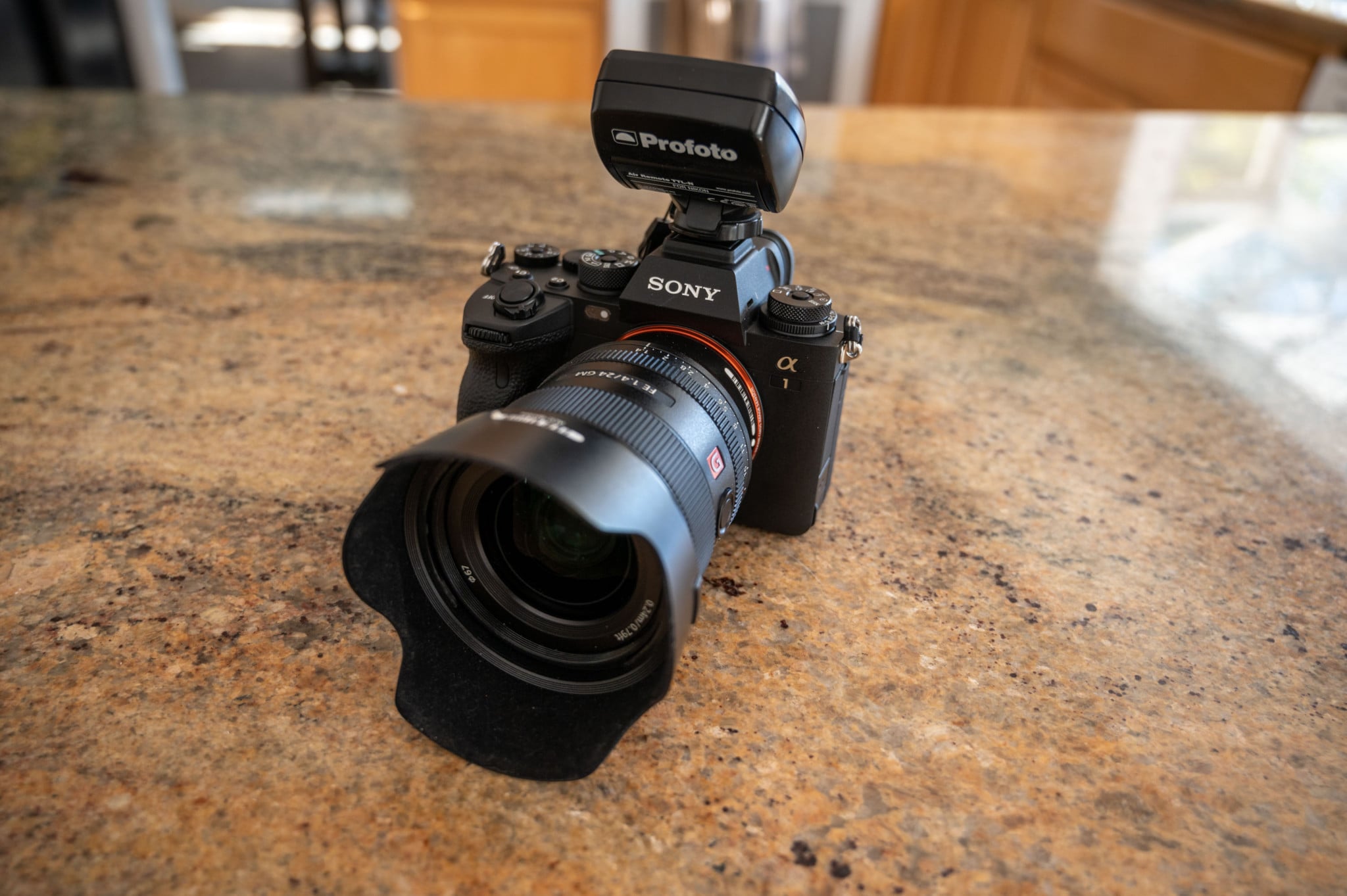Sony Alpha 1 Review: Yeah, It Really Is That Good | PetaPixel