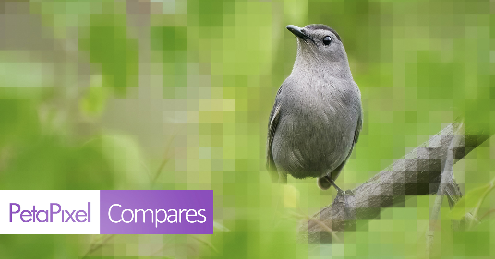 topaz ai gigapixel crack