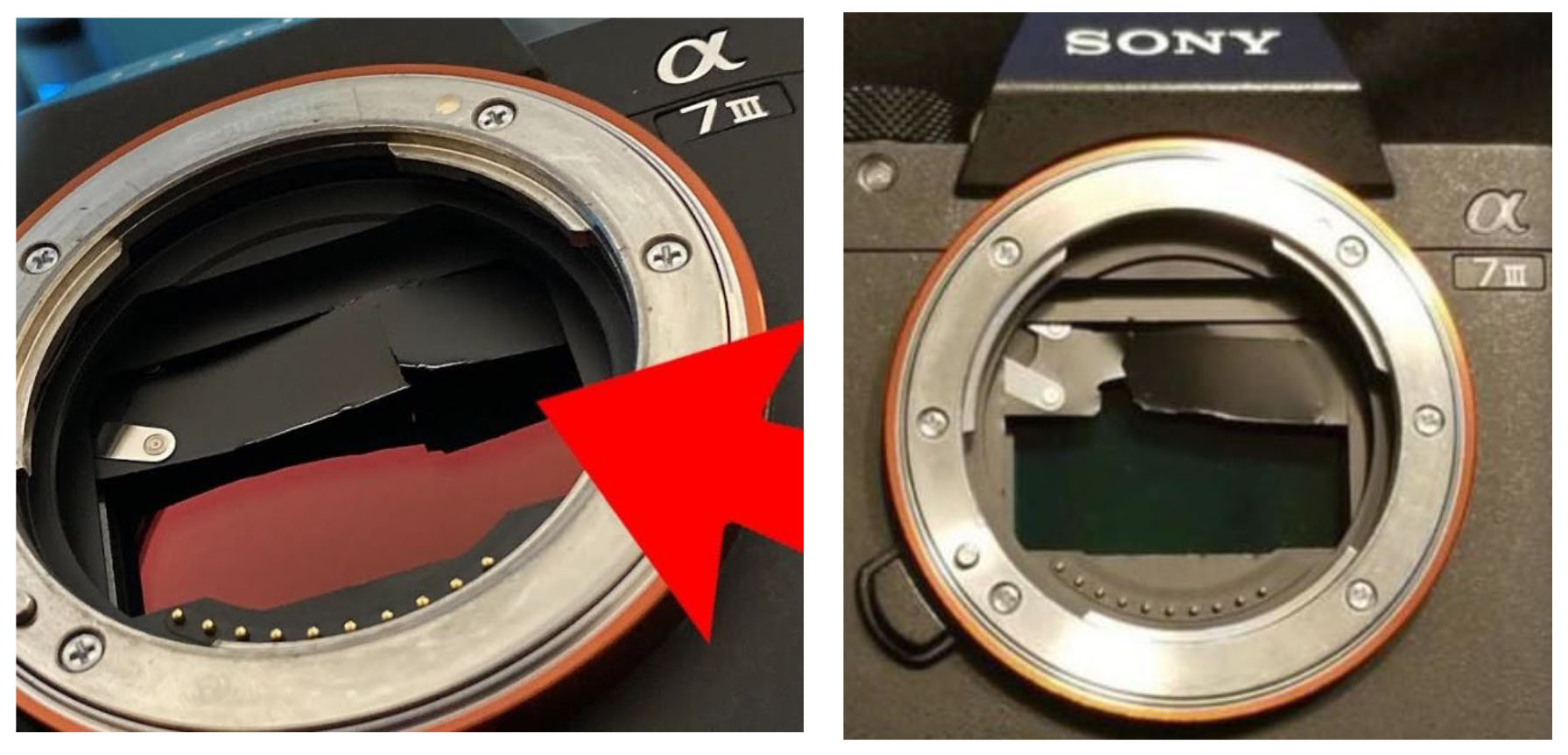 Sony Sued: Class-Action Lawsuit Says a7 III Shutter is Bricking Cameras ...
