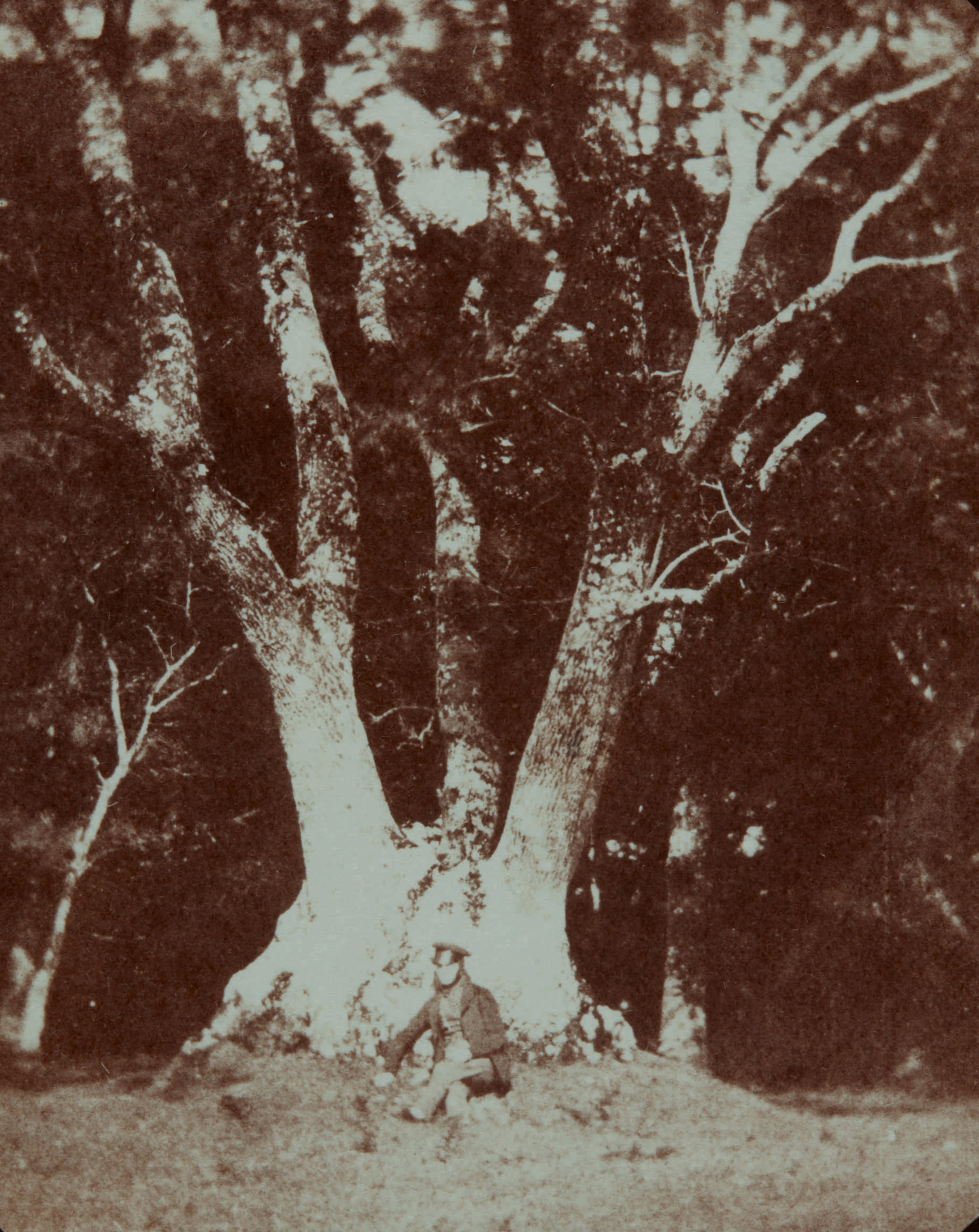 Set of World's Earliest Photos by Fox Talbot Sells for Staggering $1 ...
