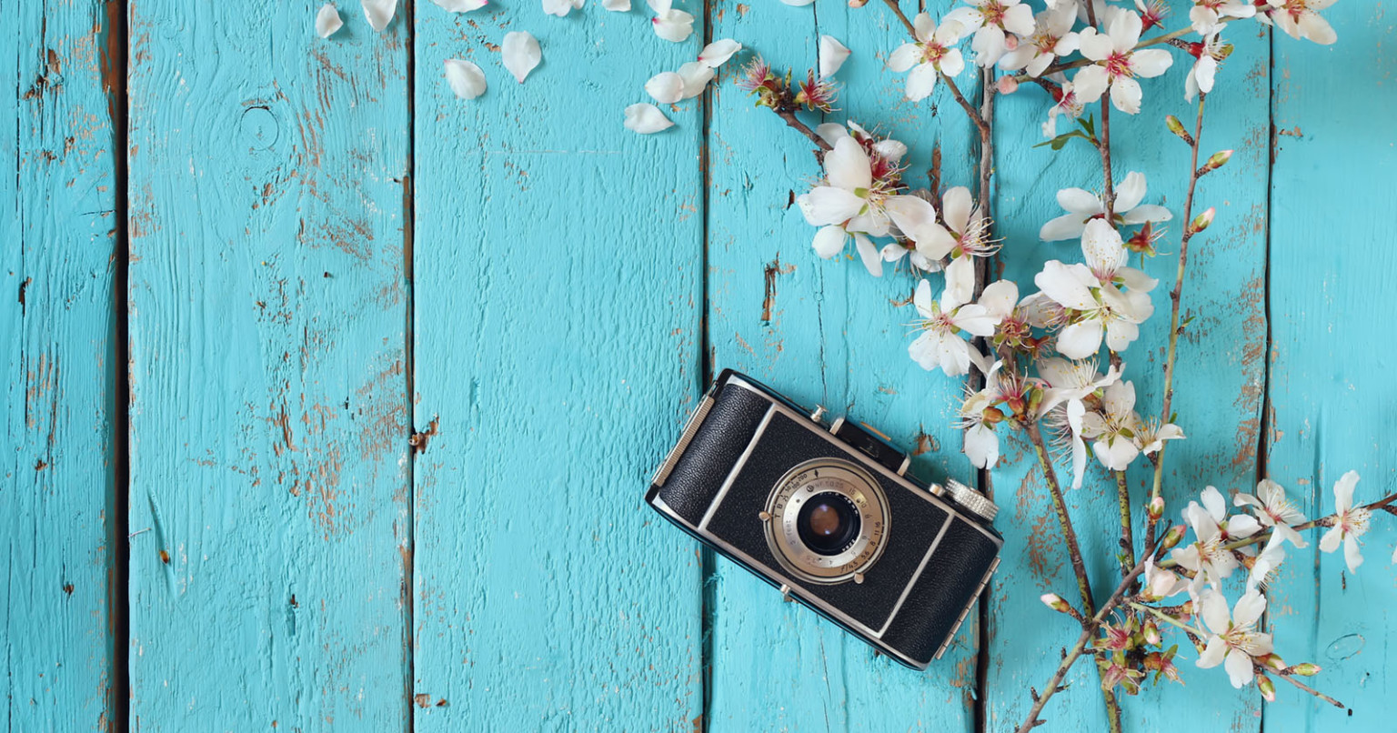 Spring Photography Gear Guide: 6 Perfect Gifts to Suit Every Budget ...