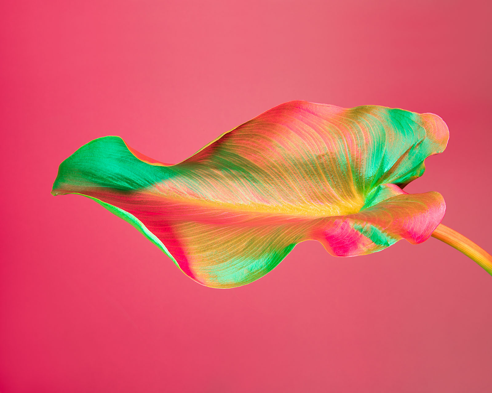 Great Reads in Photography: May 9, 2021 | PetaPixel
