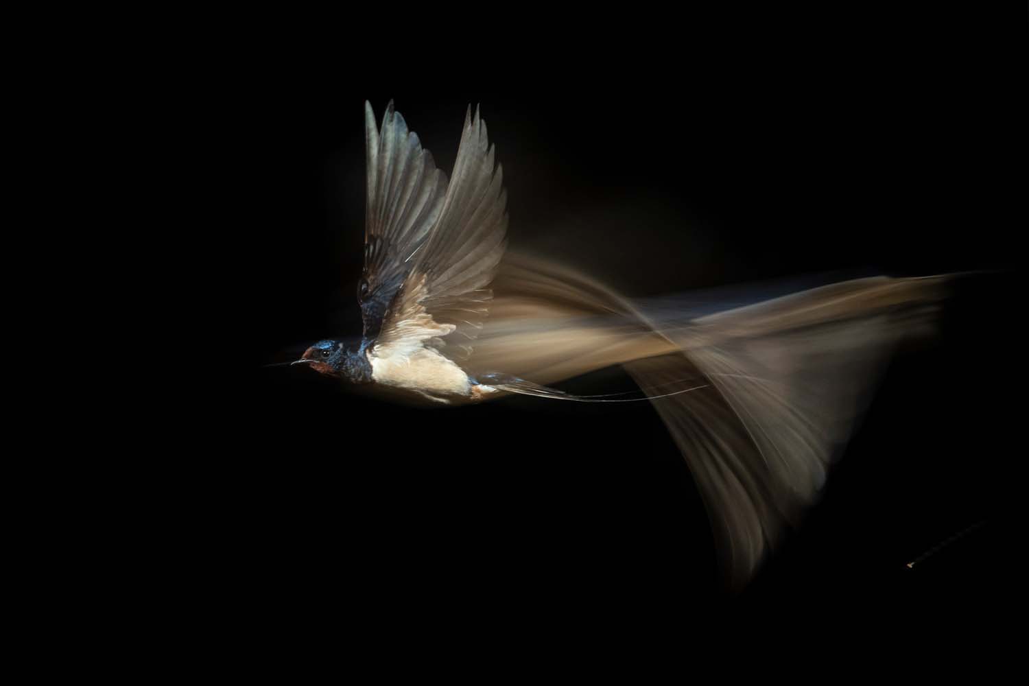 The Winners of the GDT Nature Photographer of the Year 2021 | PetaPixel