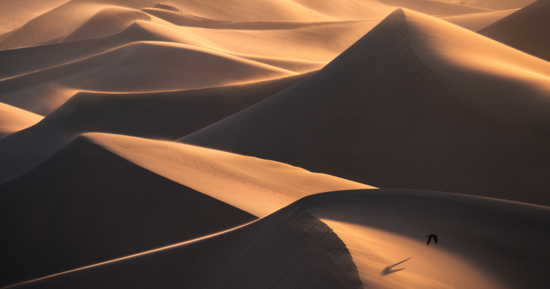 How to Capture the Unique Details of Sand Dunes with a Telephoto Lens ...