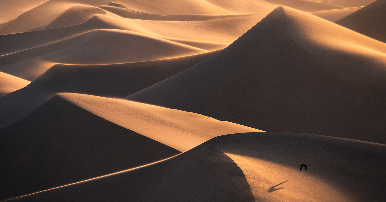 How to Capture the Unique Details of Sand Dunes with a Telephoto