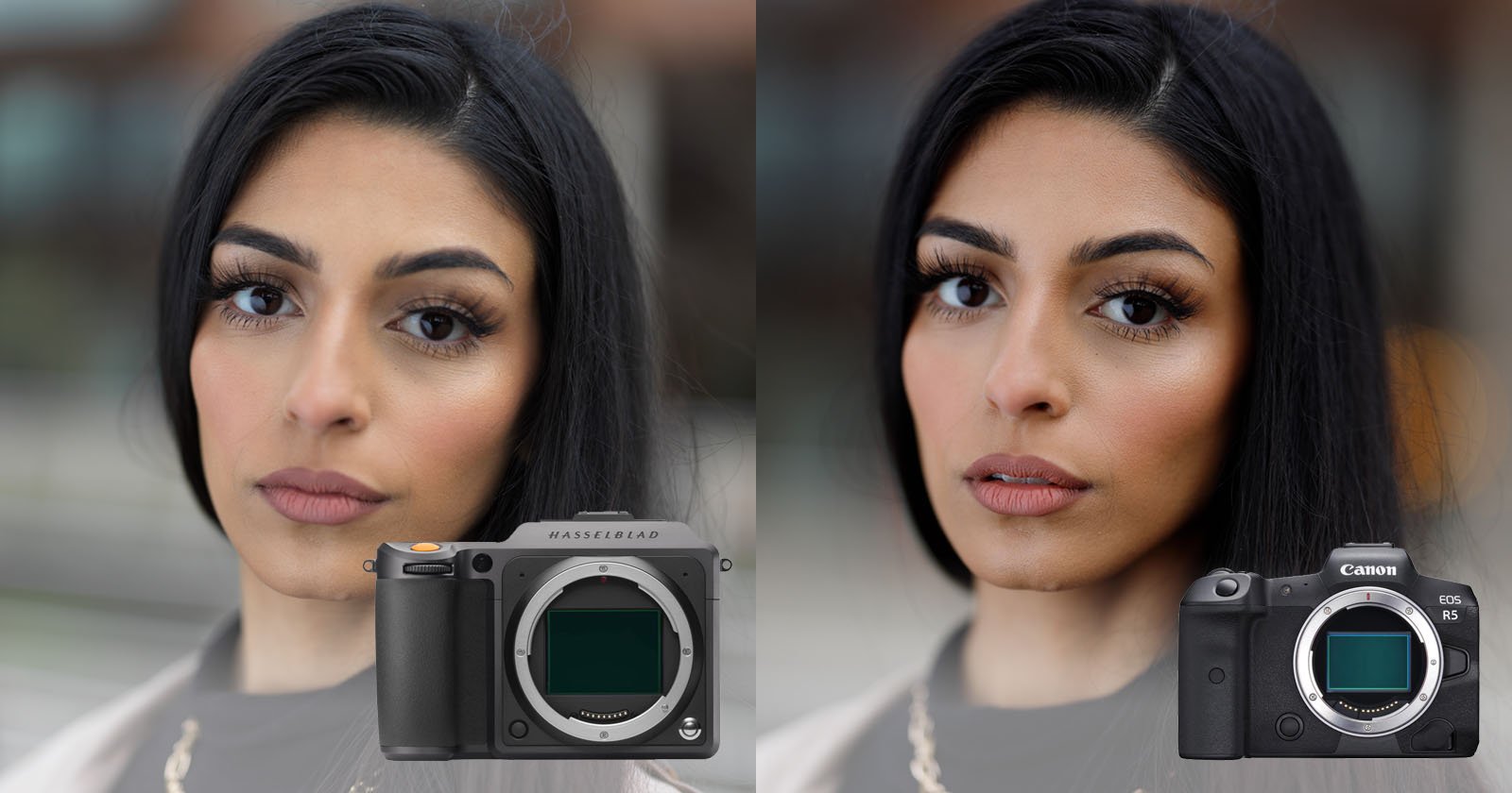 The Canon Eos R5 Produces Better Color Than Medium Format Cameras |  Petapixel