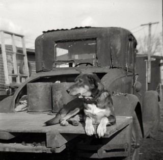 Photographer Finds and Digitizes Century-Old Family Photos | PetaPixel