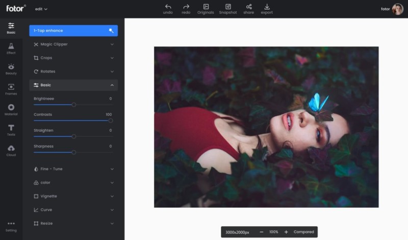 Photo Editor: Fotor - Free to Edit Photos Online, Image Editor