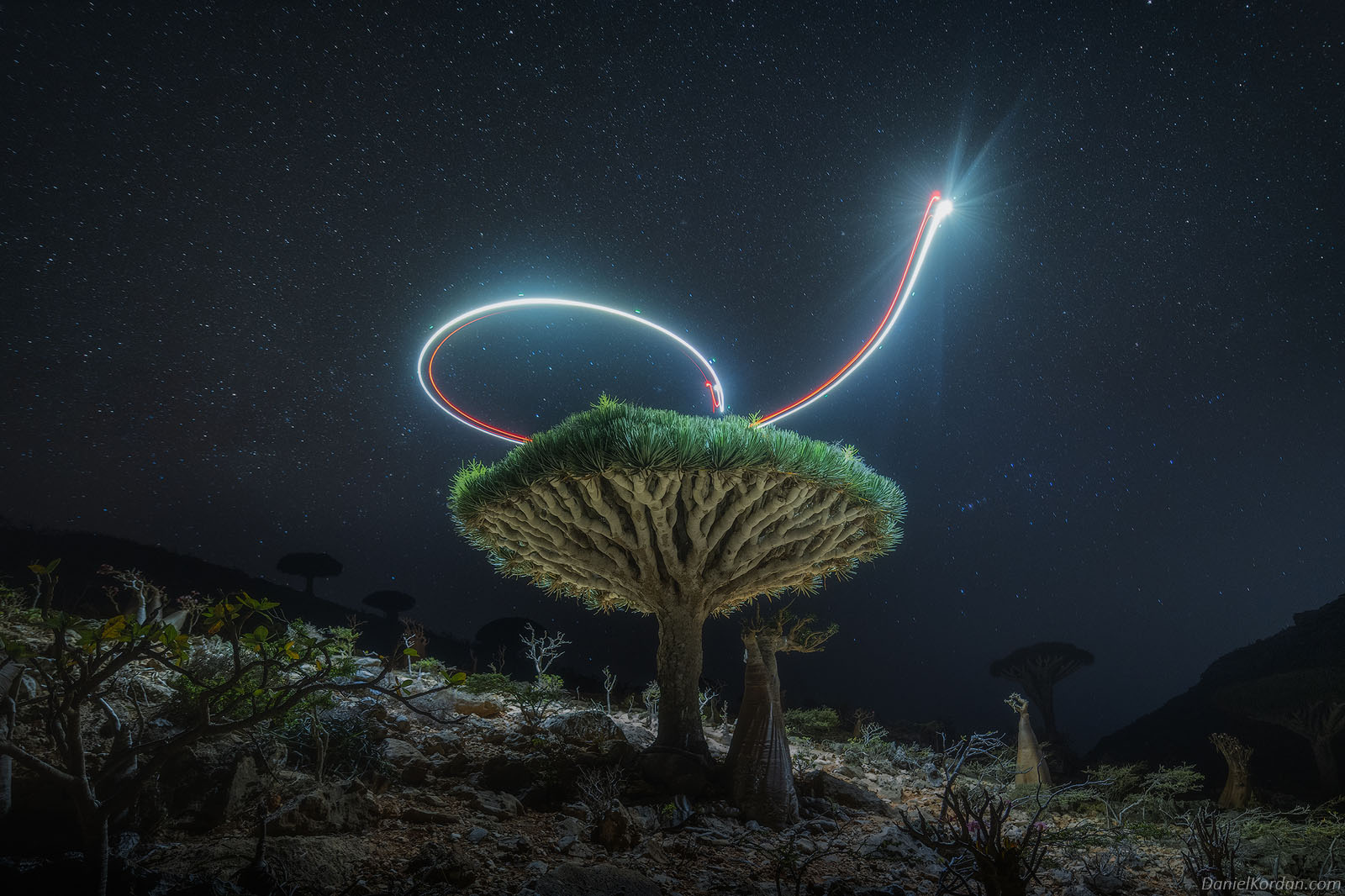 Gorgeous Photos of Socotra, The 'Most Alien-Looking Place on Earth ...