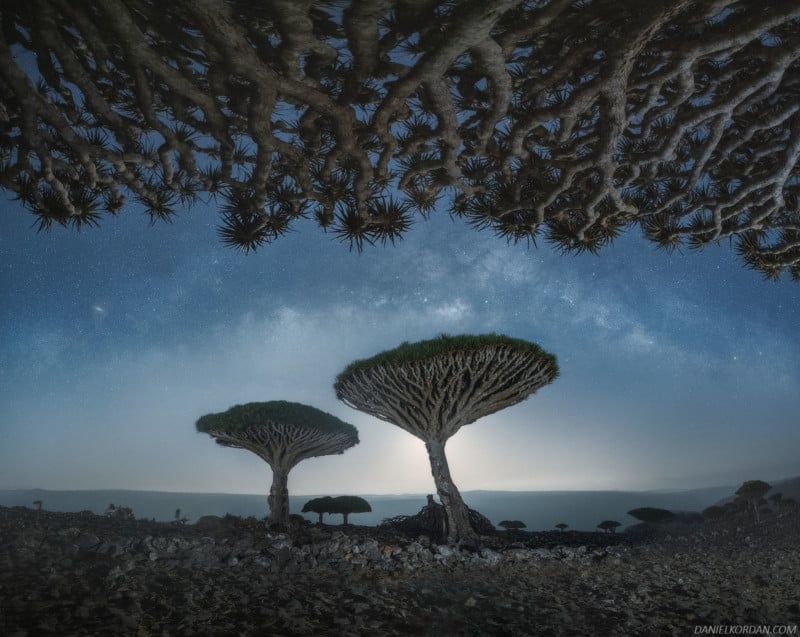 Gorgeous Photos Of Socotra The Most Alien Looking Place On Earth Petapixel