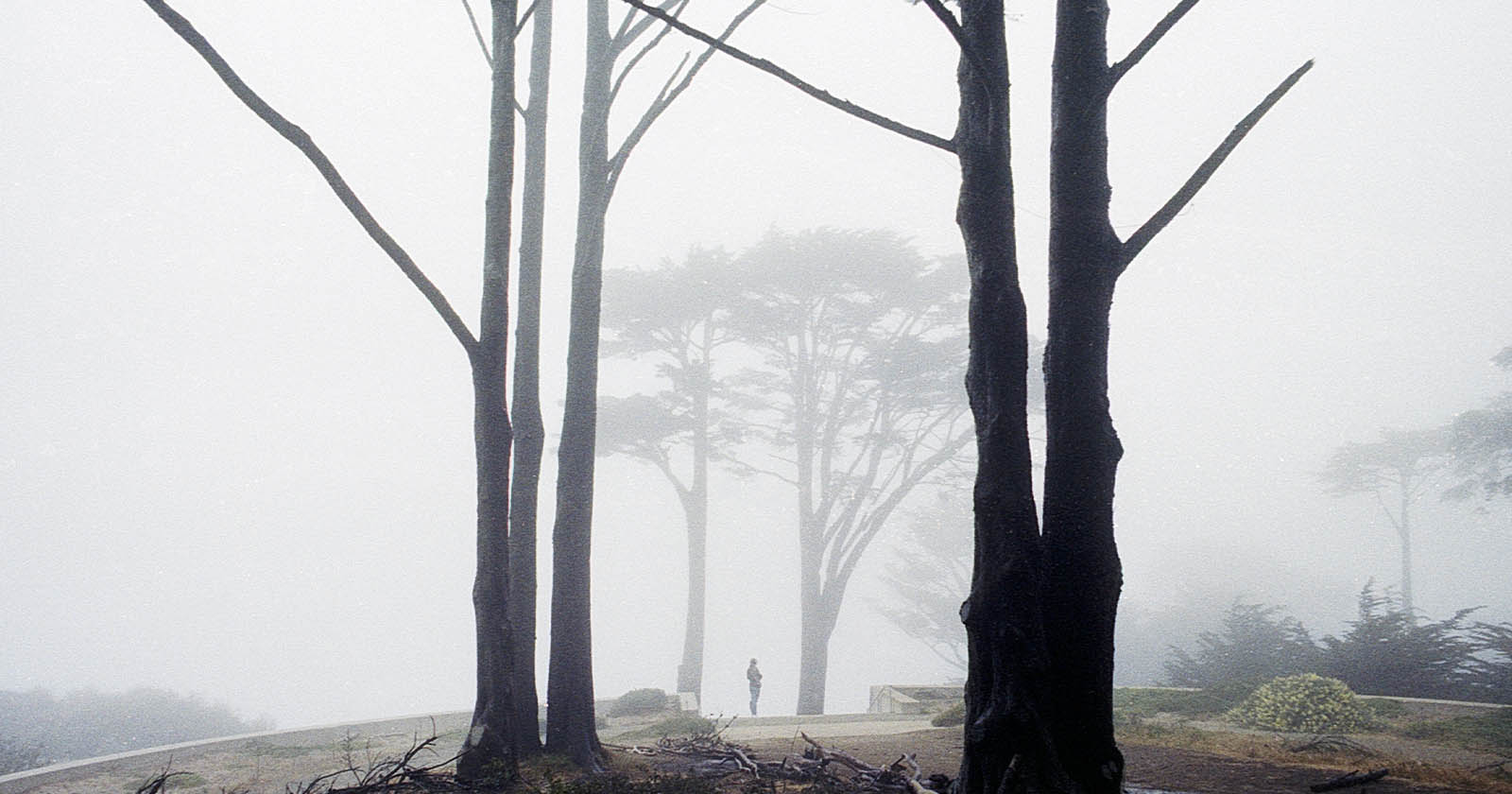 Movie Photo Sequence Celebrates the Organic Natural beauty of San Francisco’s Fog