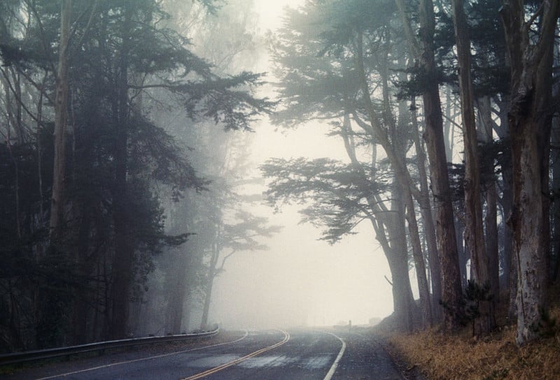 Film Photo Series Celebrates the Natural Beauty of San Francisco’s Fog
