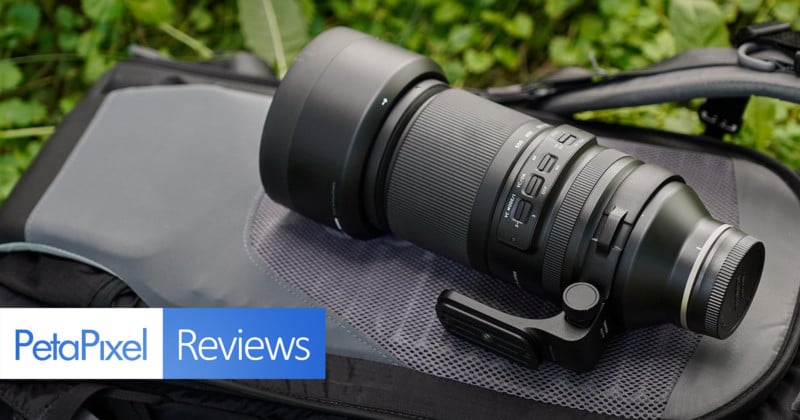 tamron birding lens