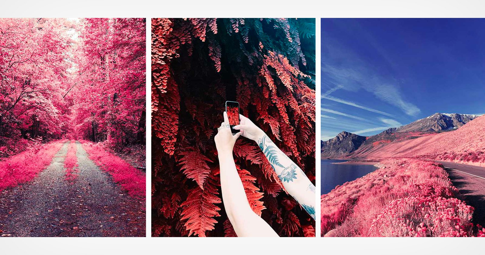 infrared color film