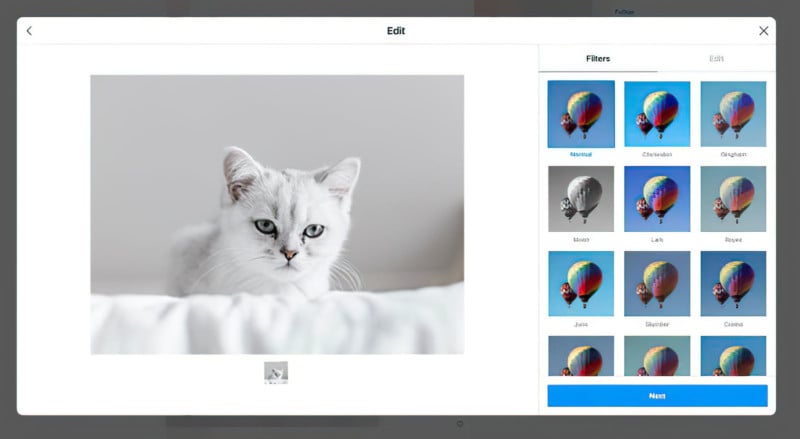 free for mac download Catizens