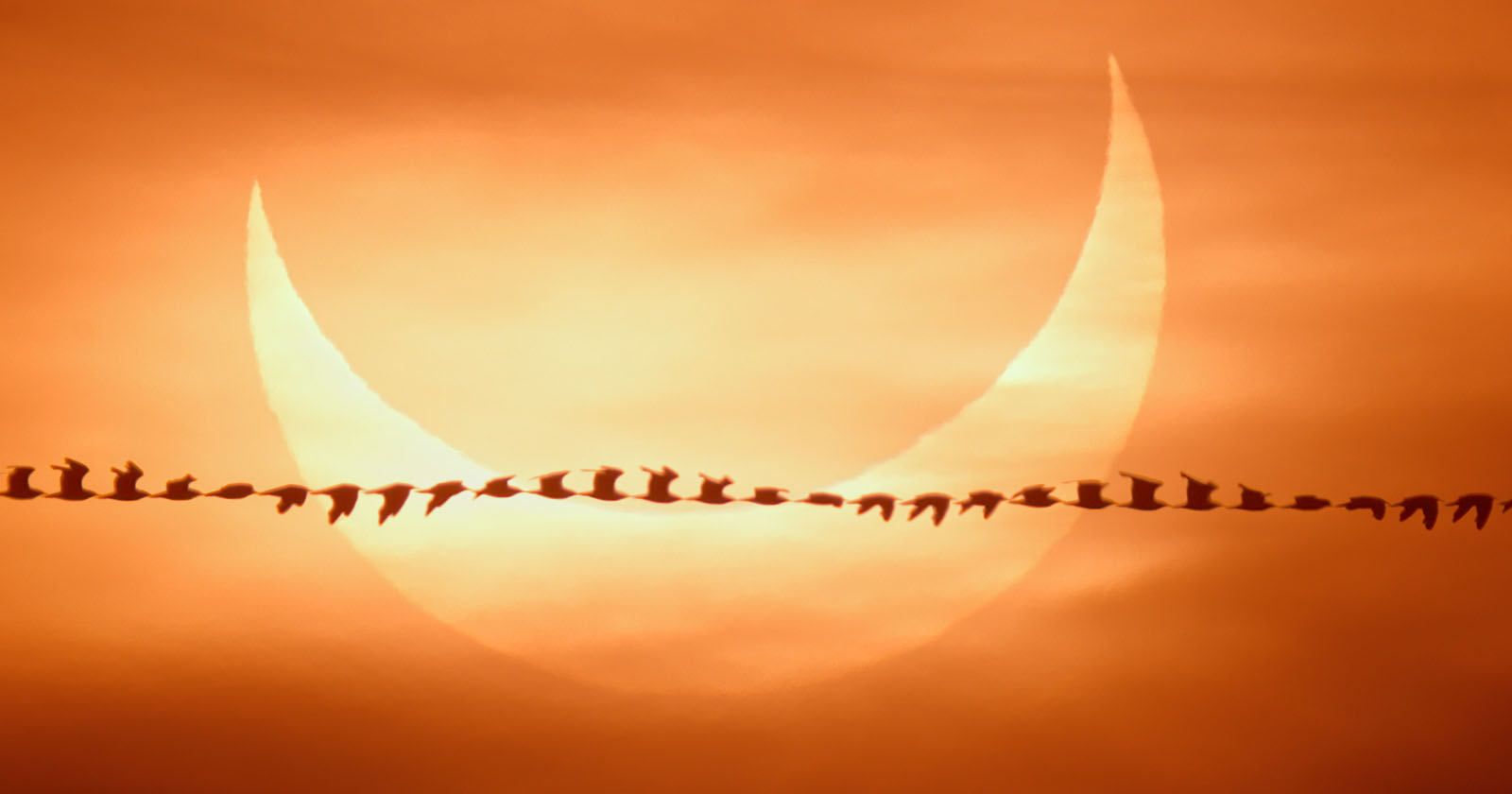 Photographer Captures 'Bird Trail' Against a Solar Eclipse | PetaPixel