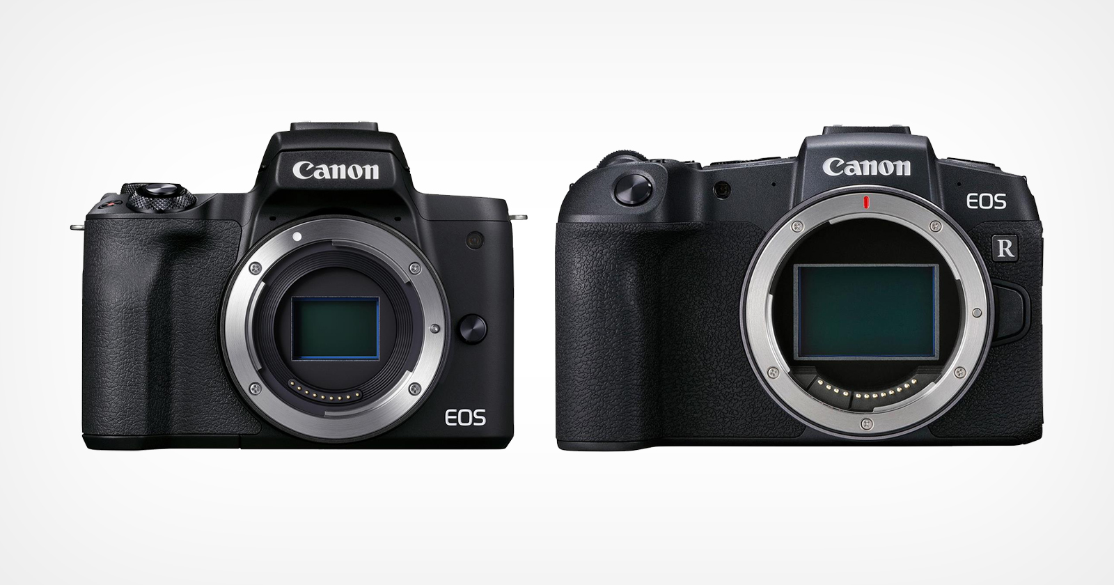 Canon R7 y R10, las claves de las primeras APS-C de la familia EOS-R