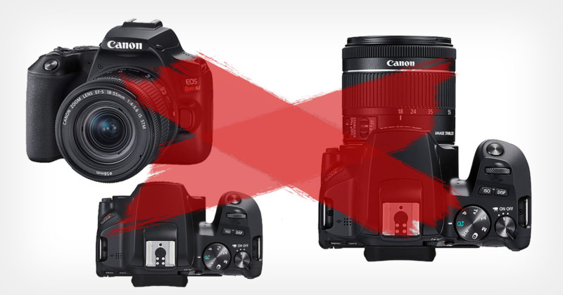 Canon entry level deals dslr