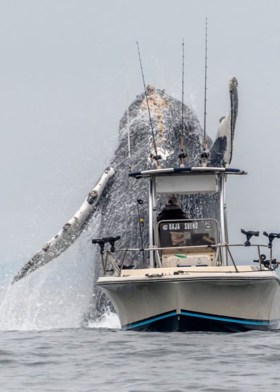 Photographer Catches Whale Breaching Next to a Fishing Boat | PetaPixel