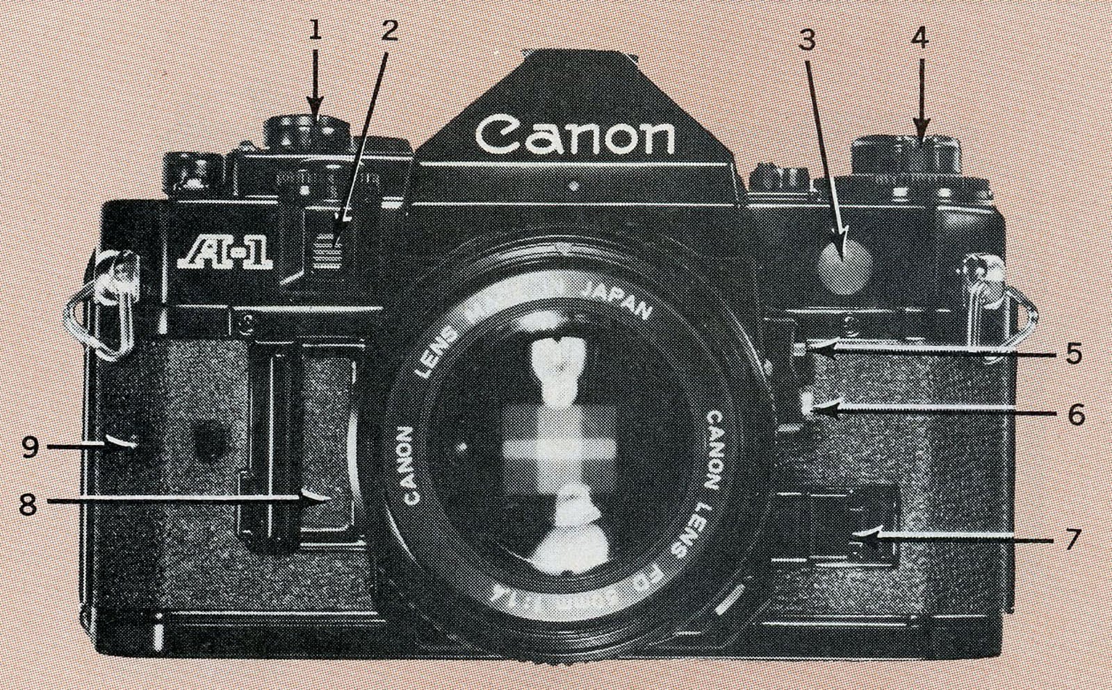 10 of the Hottest 35mm Cameras You Could Buy in 1982 | PetaPixel