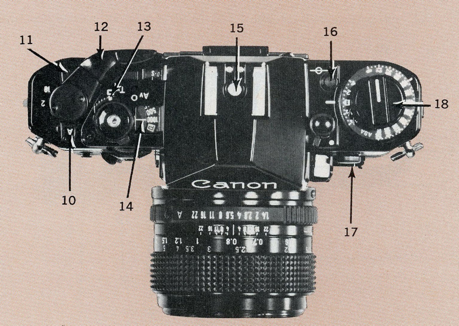 10 of the Hottest 35mm Cameras You Could Buy in 1982 | PetaPixel
