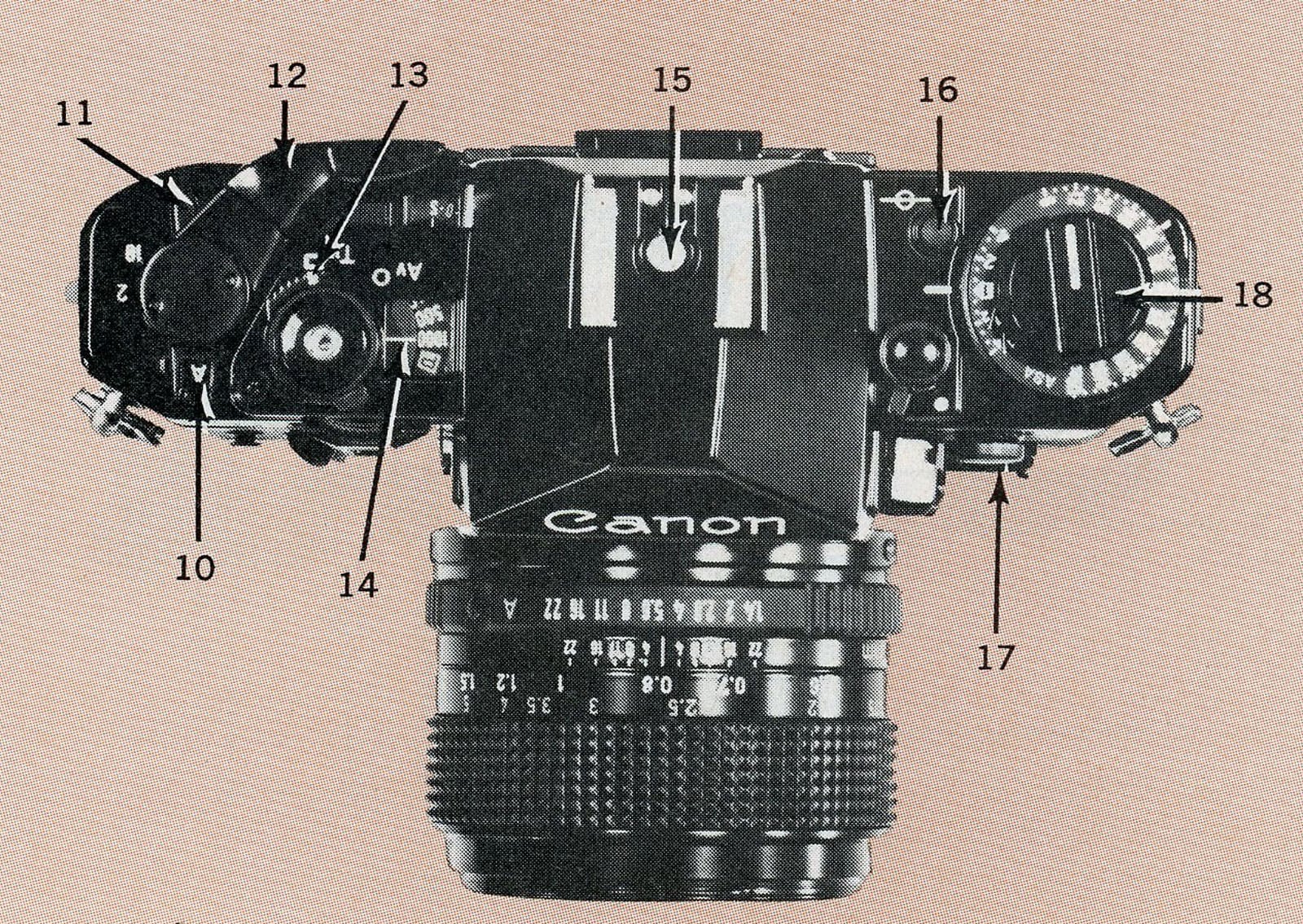 10 of the Hottest 35mm Cameras You Could Buy in 1982 | PetaPixel