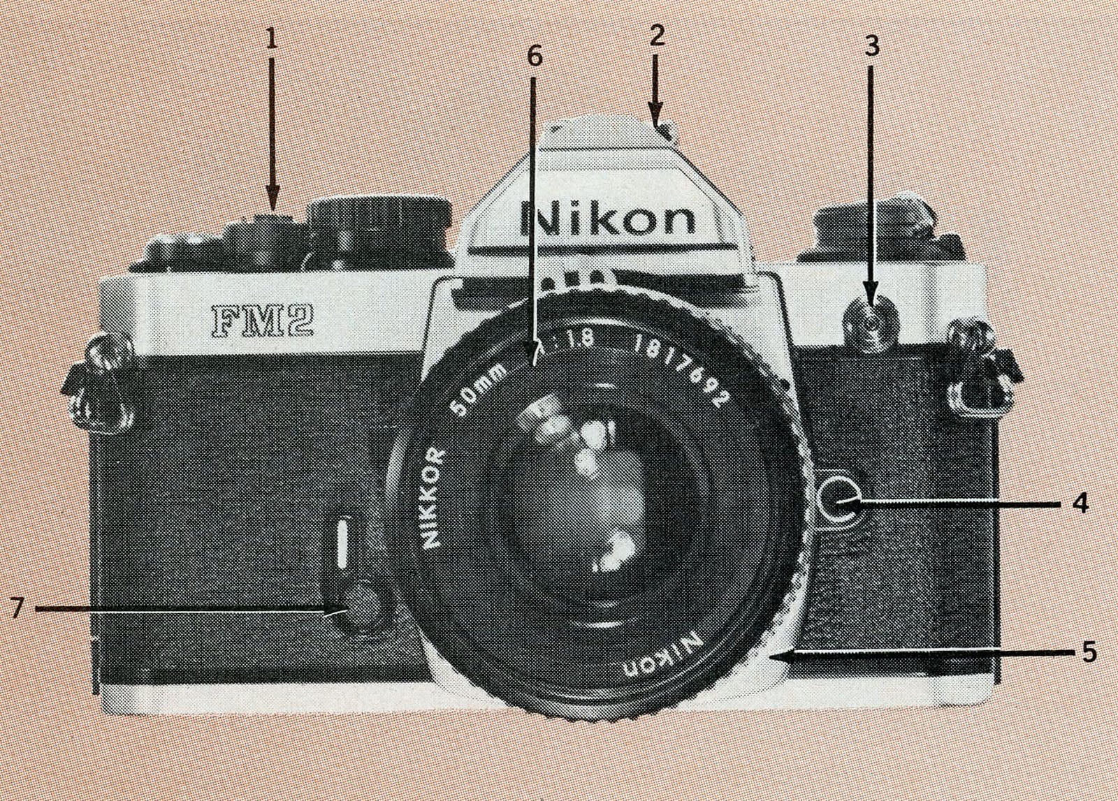 10 of the Hottest 35mm Cameras You Could Buy in 1982 | PetaPixel