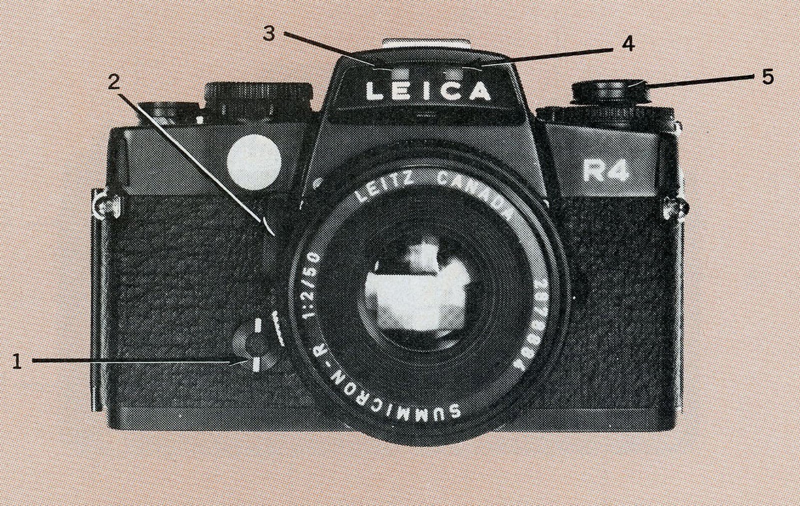 10 of the Hottest 35mm Cameras You Could Buy in 1982 | PetaPixel