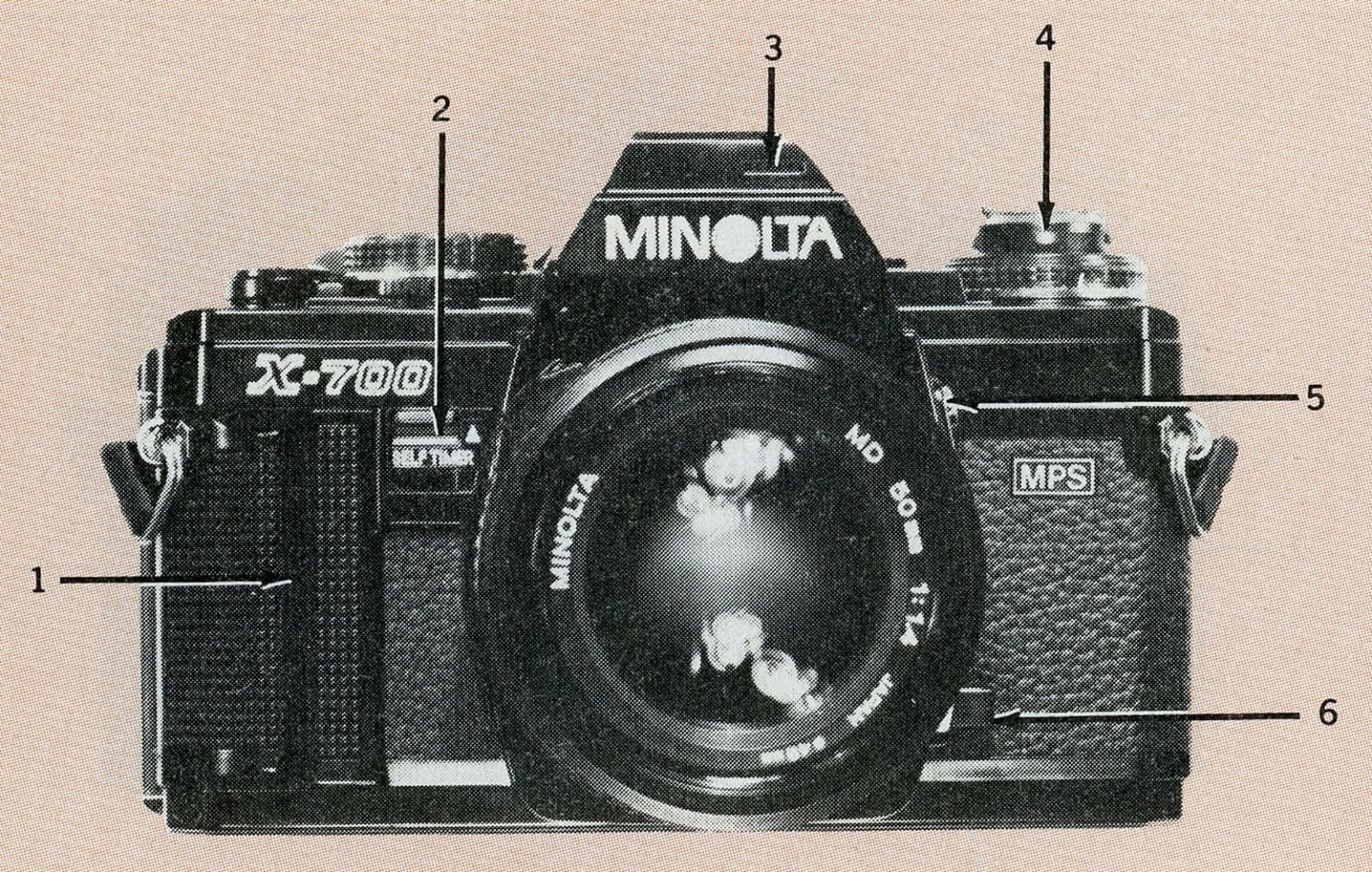 10 of the Hottest 35mm Cameras You Could Buy in 1982 | PetaPixel