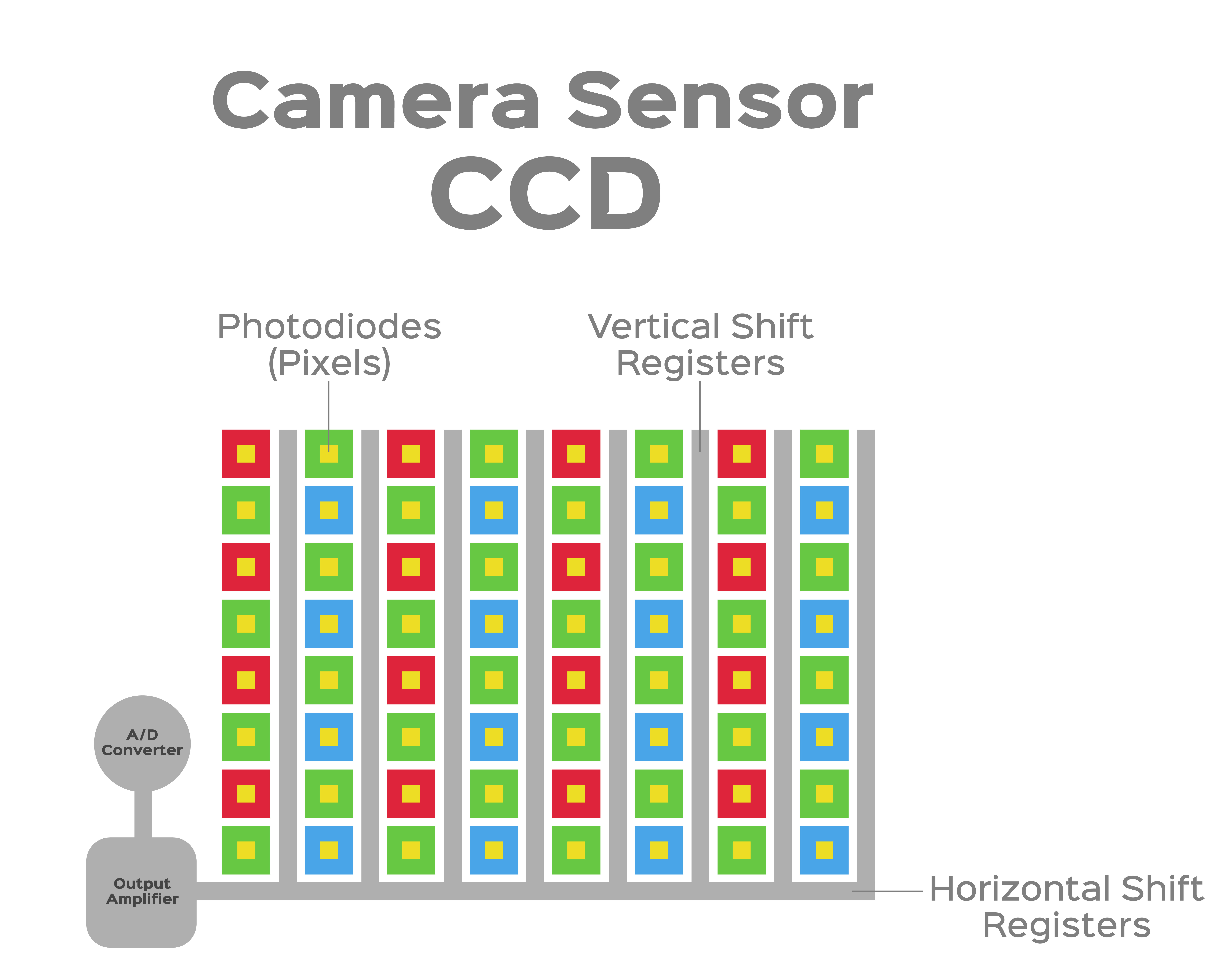 Ever Wondered How a CCD Sensor Works?